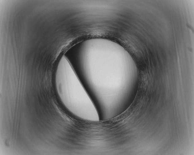 X0000097980496200803241045