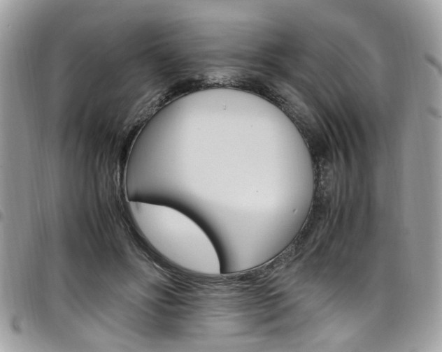 X0000097980502200803241045