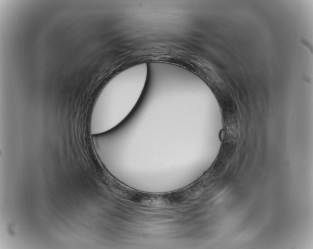 X0000097980503200803241045