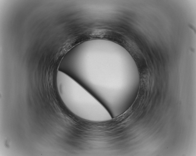 X0000097980504200803241045