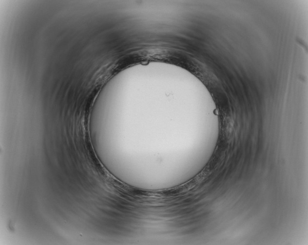 X0000097980506200803241045