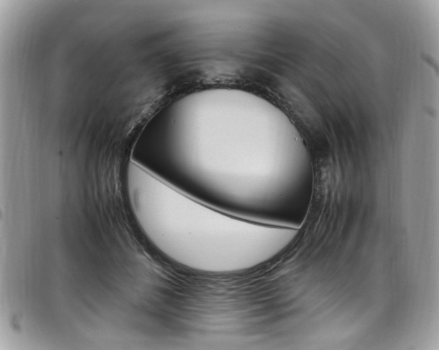 X0000097980508200803241045