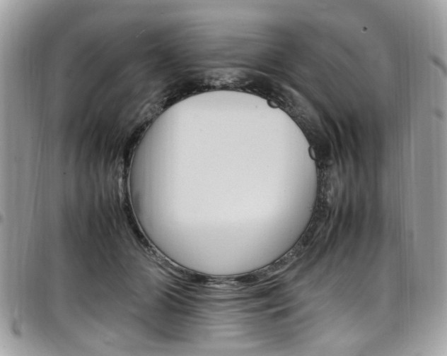 X0000097980510200803241045