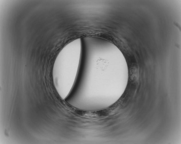X0000097980515200803241045