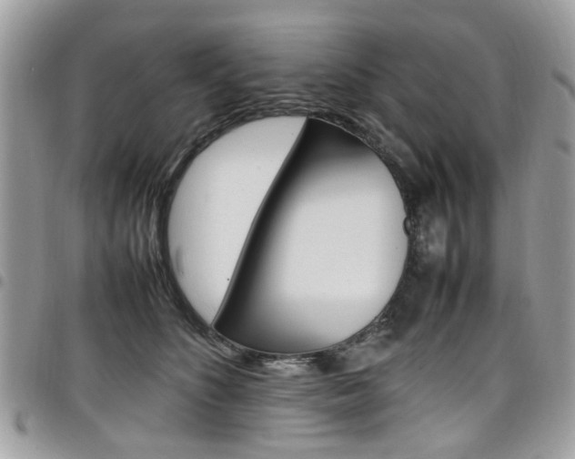 X0000097980516200803241045