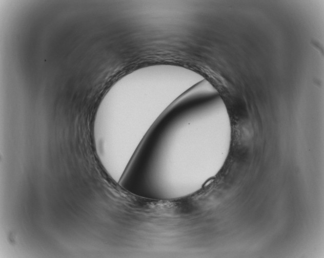 X0000097980517200803241045