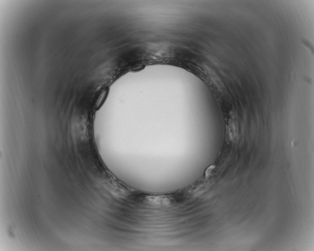 X0000097980520200803241045