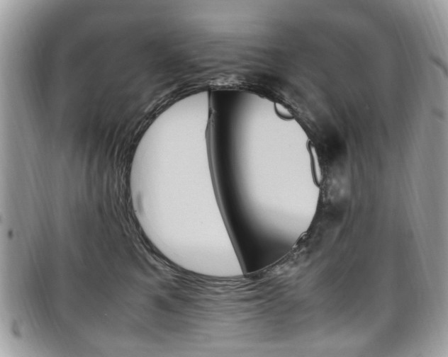X0000097980521200803241045