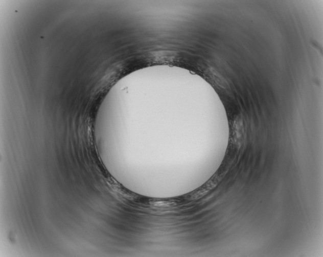 X0000097980522200803241045