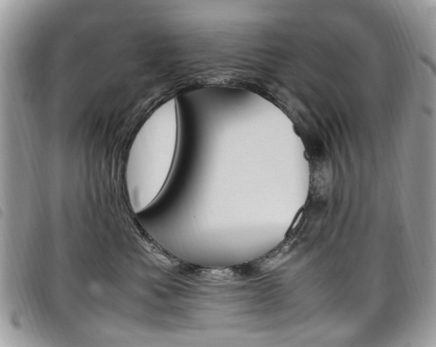 X0000097980525200803241045