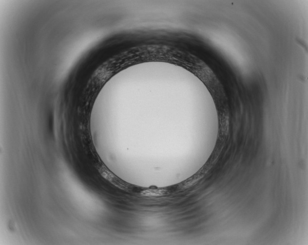 X0000097980526200803241045