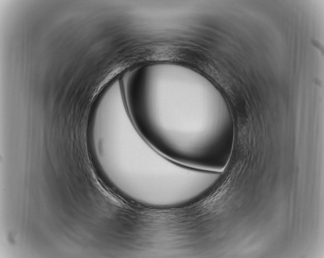 X0000097980530200803241044