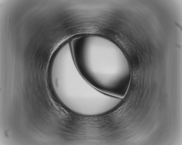 X0000097980532200803241044