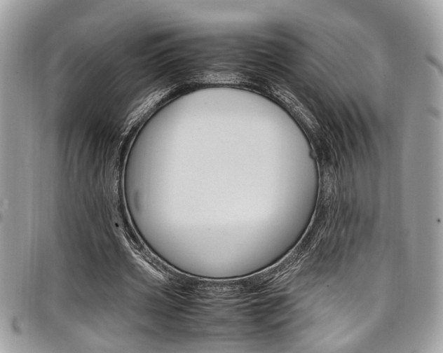 X0000097980533200803241044