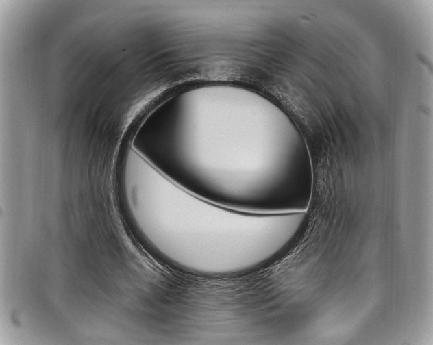 X0000097980536200803241044