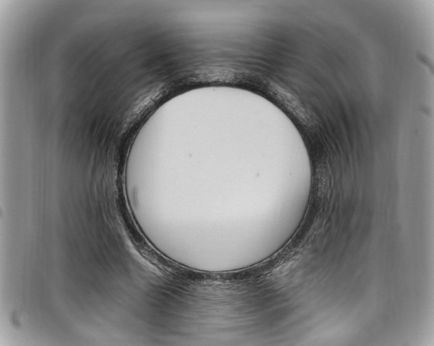 X0000097980538200803241044