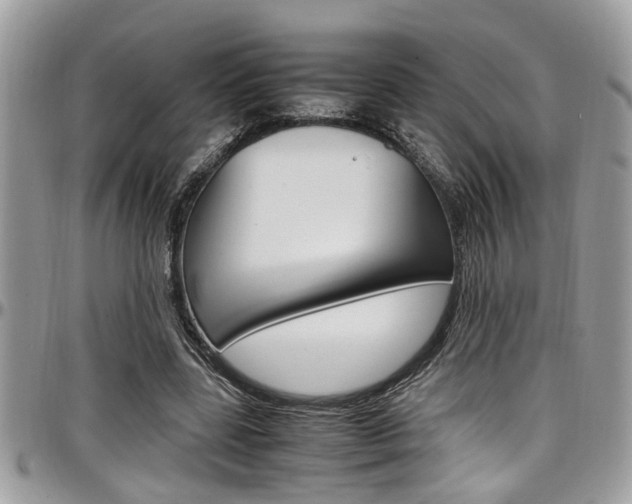 X0000097980539200803241044