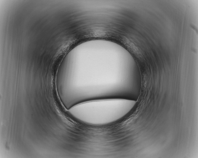 X0000097980542200803241044