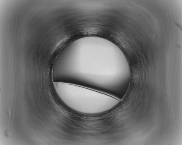 X0000097980543200803241044