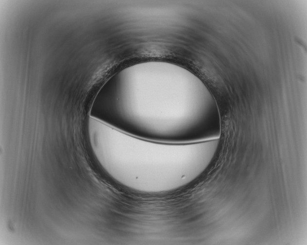 X0000097980544200803241044