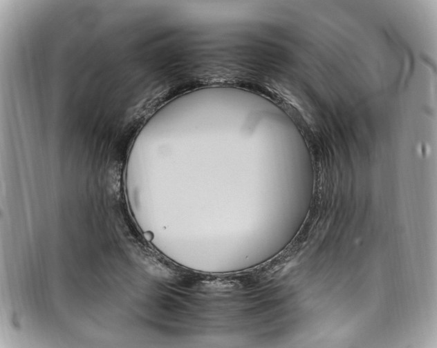 X0000097980545200803241044