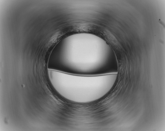 X0000097980548200803241044