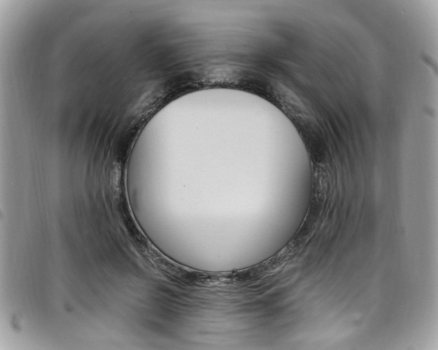 X0000097980550200803241044