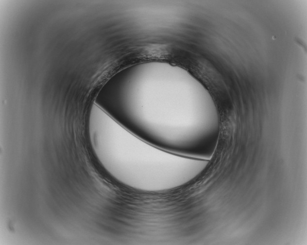 X0000097980552200803241044