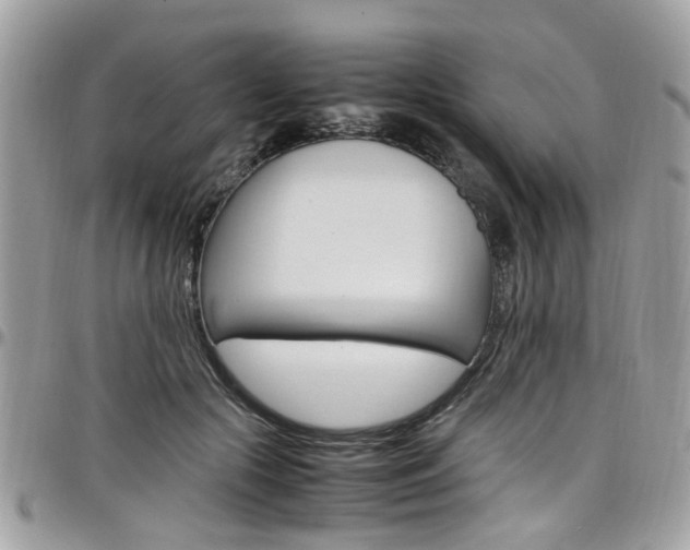 X0000097980553200803241044