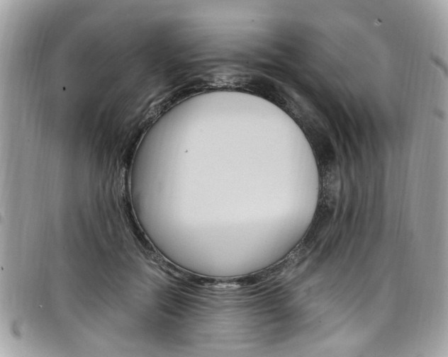 X0000097980554200803241044
