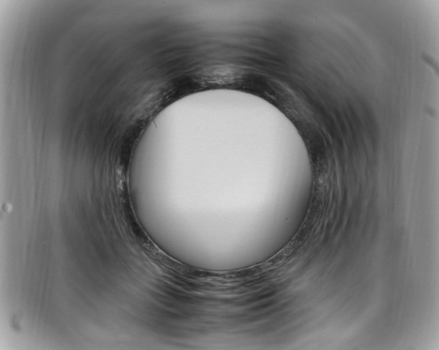 X0000097980555200803241044