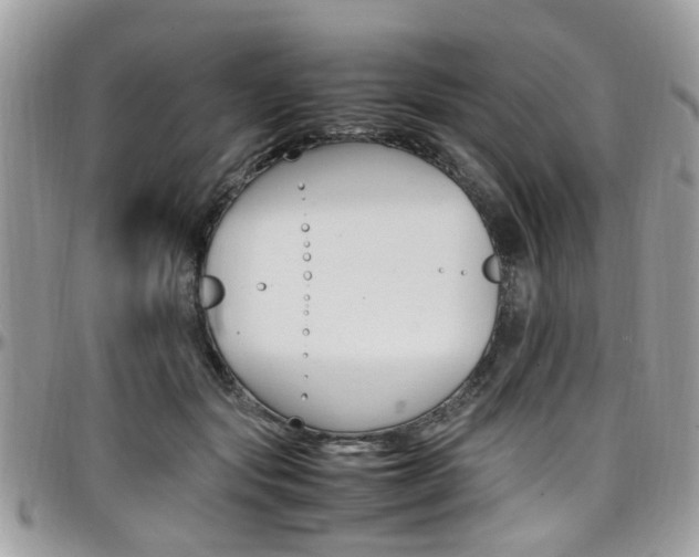 X0000097980557200803241044