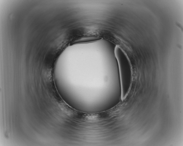 X0000097980560200803241044