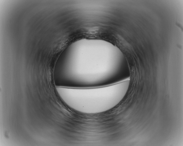 X0000097980562200803241044