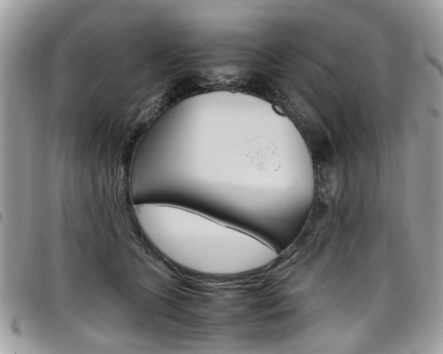 X0000097980563200803241044