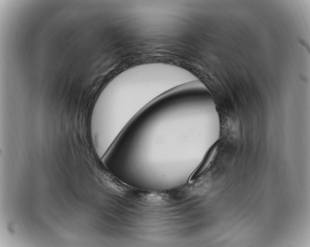 X0000097980566200803241044