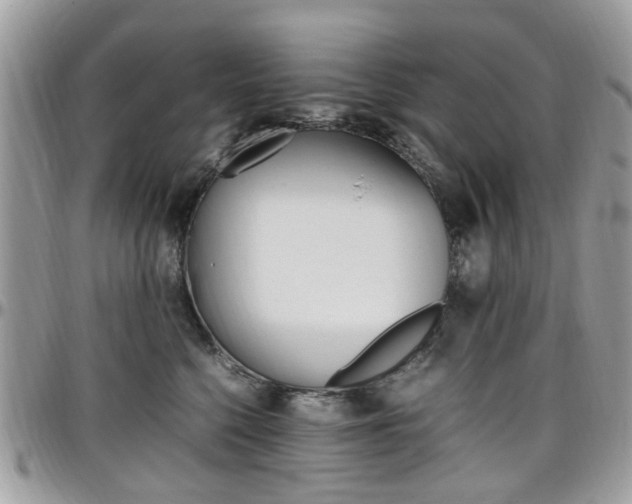 X0000097980568200803241044
