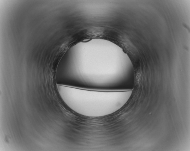X0000097980570200803241045