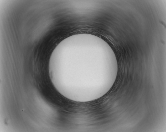 X0000097980572200803241045