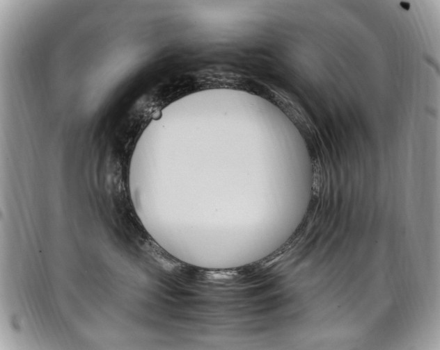X0000097980573200803241045