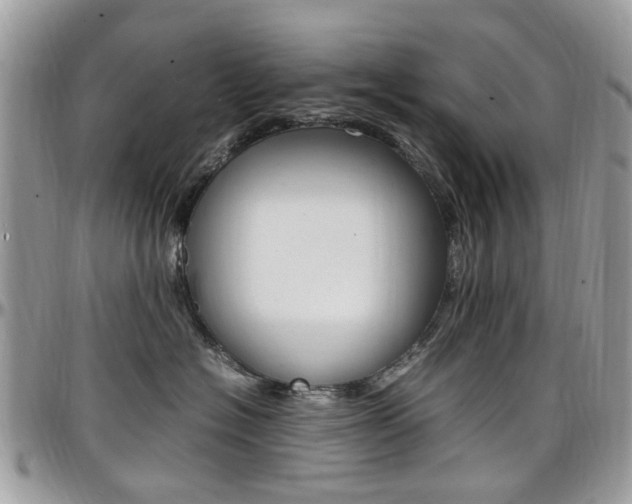 X0000097980574200803241045