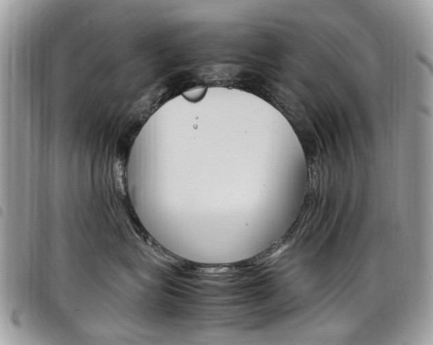 X0000097980575200803241045