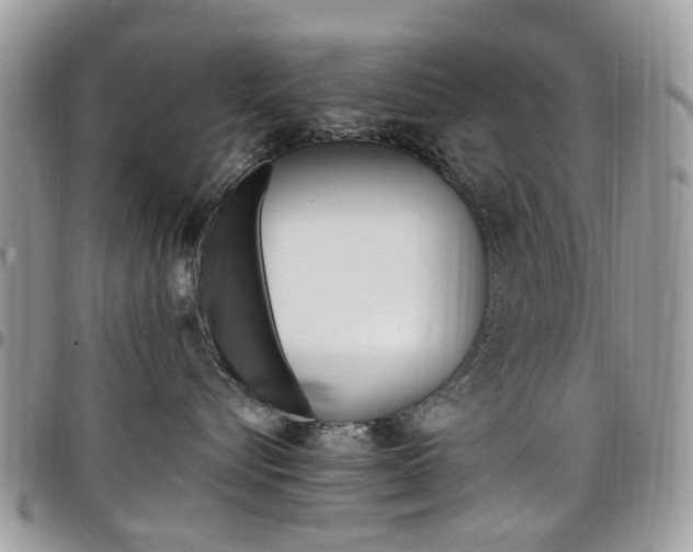 X0000097980576200803241045