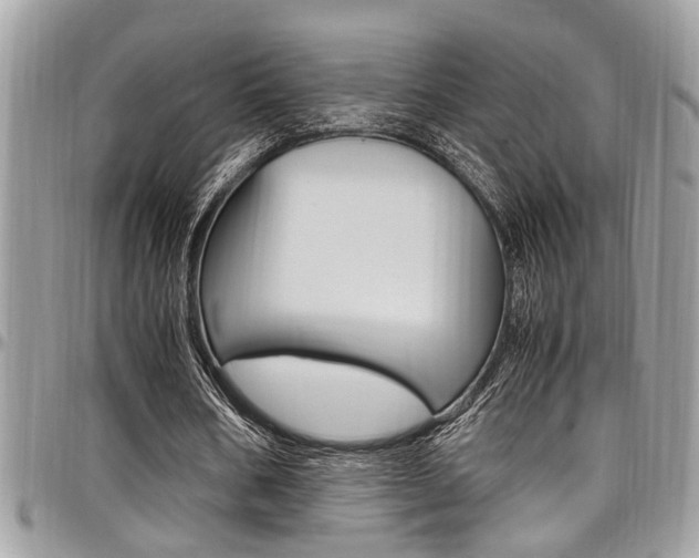 X0000097980578200803241044