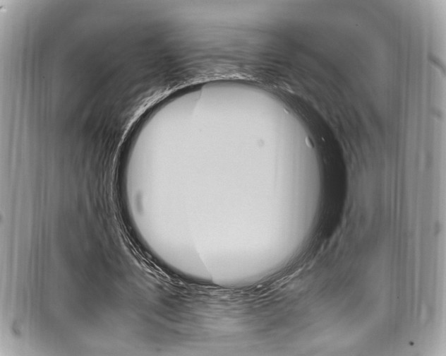 X0000097980579200803241044