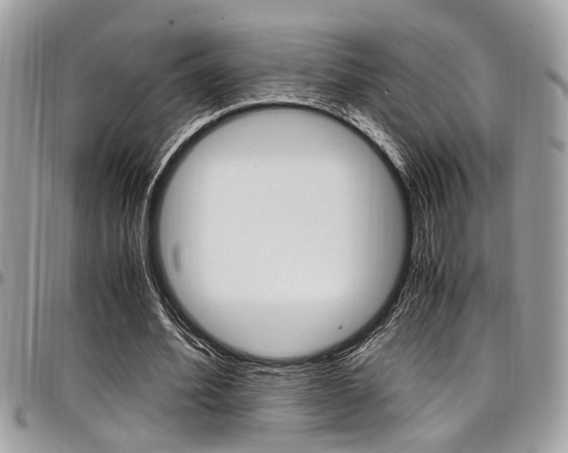 X0000097980580200803241044
