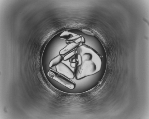 X0000097980581200803241044