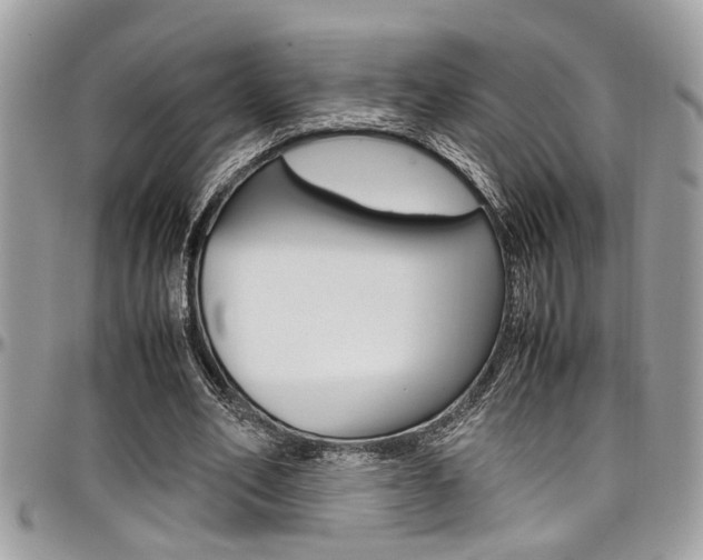 X0000097980582200803241044