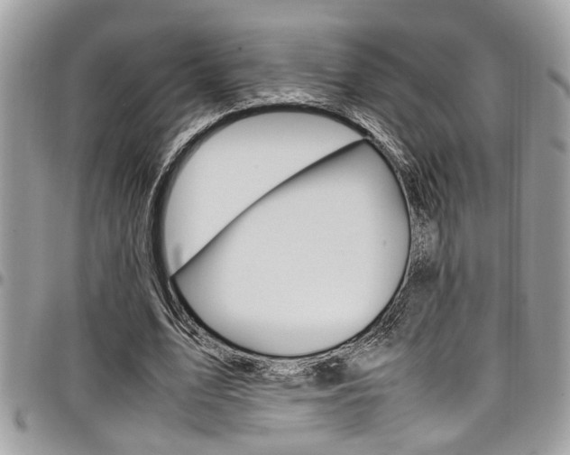X0000097980583200803241044