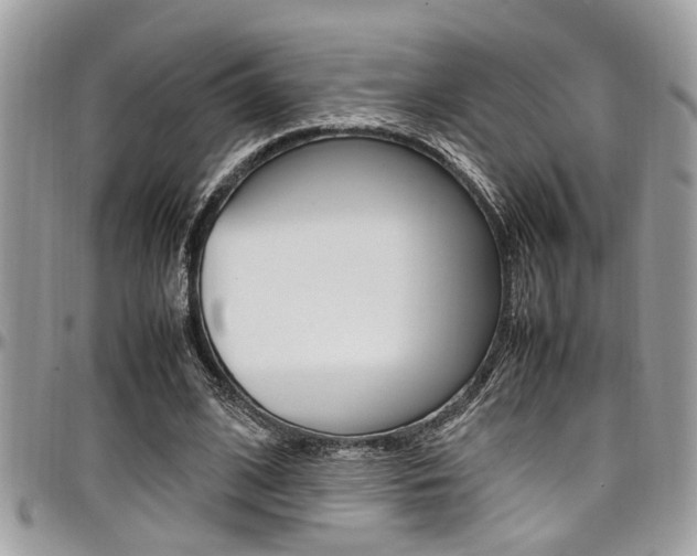 X0000097980584200803241044